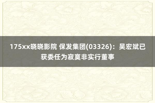 175xx晓晓影院 保发集团(03326):吴宏斌已获委任为寂寞非实行董事