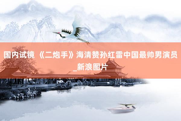 国内试镜 《二炮手》海清赞孙红雷中国最帅男演员_新浪图片