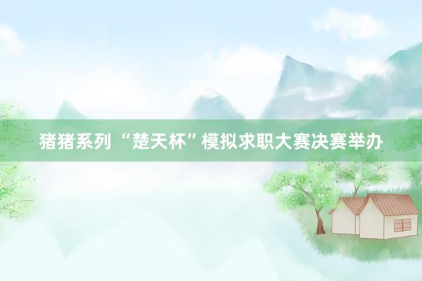 猪猪系列 “楚天杯”模拟求职大赛决赛举办