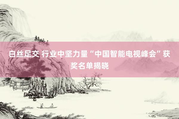 白丝足交 行业中坚力量“中国智能电视峰会”获奖名单揭晓