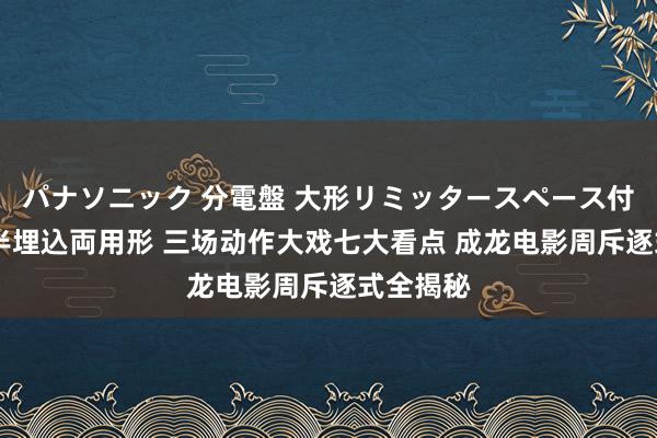 パナソニック 分電盤 大形リミッタースペース付 露出・半埋込両用形 三场动作大戏七大看点 成龙电影周斥逐式全揭秘