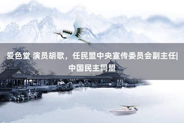 爱色堂 演员胡歌，任民盟中央宣传委员会副主任|中国民主同盟