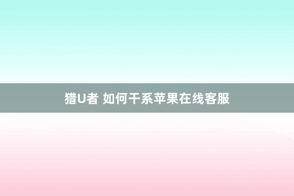 猎U者 如何干系苹果在线客服