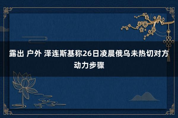 露出 户外 泽连斯基称26日凌晨俄乌未热切对方动力步骤