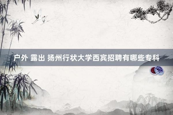 户外 露出 扬州行状大学西宾招聘有哪些专科